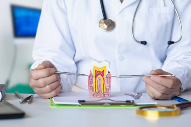 Best Emergency Treatment for Dental Infections or Abscesses in Alamo, NV